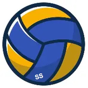 Volleyball Size