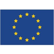 Organizational Flag Size