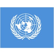 UN Flag Size