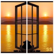 Standard Window Size