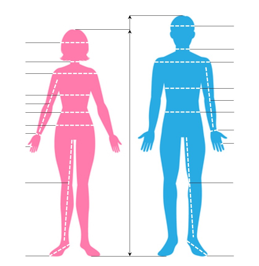 Body Size Measurement